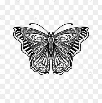 线条蝴蝶黑白画填色本