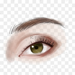 双眼皮眼睛手绘卡通眼睛惊讶的表情免抠图眉毛剪贴画漂亮的女人的脸二