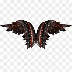 红黑渐变羽毛翅膀