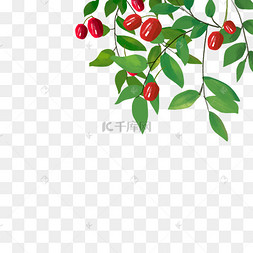 .树图片-.树图片素材免费下载-千库网