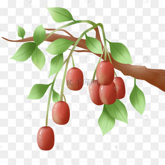 卡通手绘秋天成熟的枣树