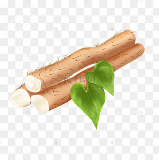 应季蔬菜山药秋天食物农作物