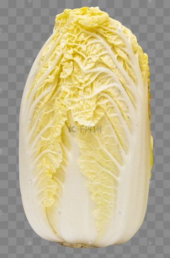 蔬菜白菜娃娃菜