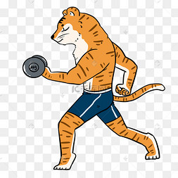 虎年举哑铃老虎动物健身拟人