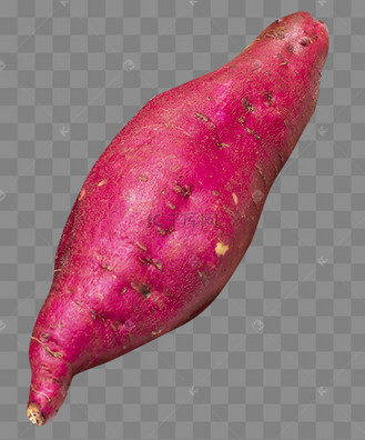 红薯番薯地瓜果实食物