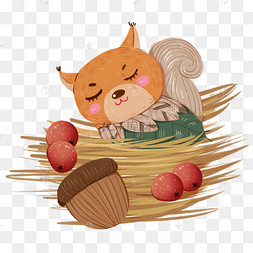 立冬二十四节气松鼠冬眠