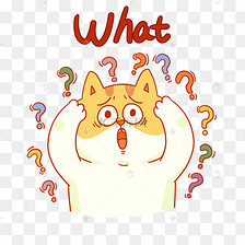 小动物满头问号表情包