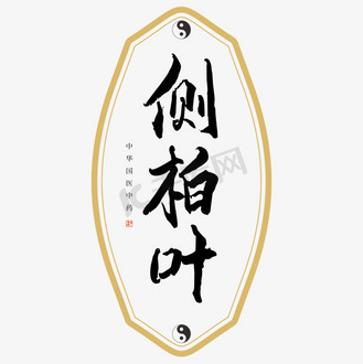 中药侧柏叶艺术字