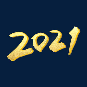 大气烫金字2021