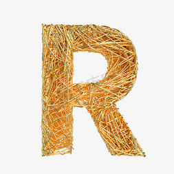 金属抽象线条字母R