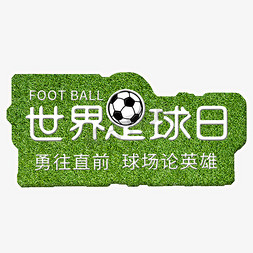 世界足球日  足球  国际节  节日  绿色背景   世界节