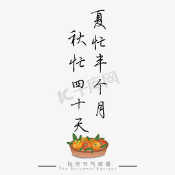 秋分谚语夏忙半个月秋忙四十天黑色艺术字