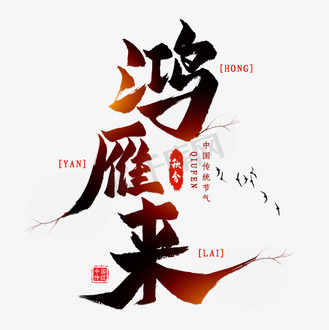 鸿雁来宾图片_鸿雁来宾素材-鸿雁来宾图片大全-千库网