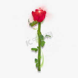 两朵玫瑰免抠艺术字图片_玫瑰光效数字1