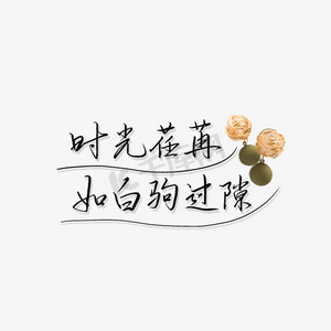 时光荏苒岁月流逝文案