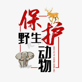 保护动物公益广告图片_保护动物公益广告素材-保护动物公益广告图片