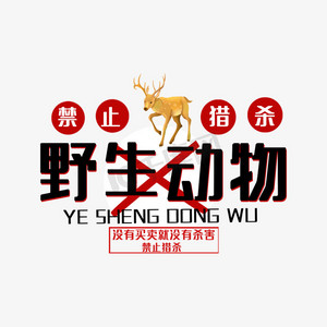 保护野生动物
