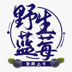 野生菌插画免抠艺术字图片_野生蓝莓水果艺术字