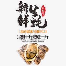 新鲜豆腐皮免抠艺术字图片_新鲜生蚝采购十斤赠送一斤