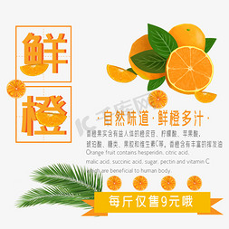 水果夏天免抠艺术字图片_鲜橙水果艺术字