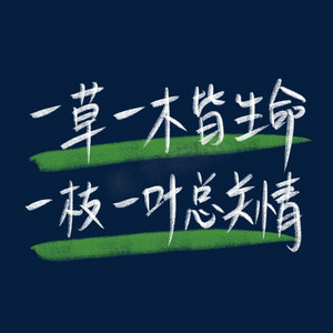 世界环境日手写粉笔字环保绿色一草一木皆生命一枝一叶总关情