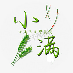 小满节气艺术字