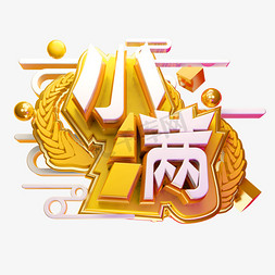 小满节日免抠艺术字图片_小满3D字体设计