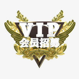 立体金色vip会员