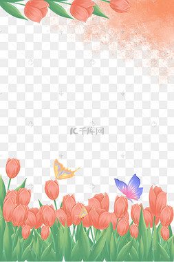 春天植物郁金香海报边框花草花朵