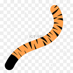 扁平老虎尾巴虎年春节