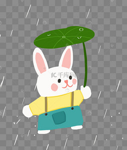 雨水节气春天下雨兔子避雨