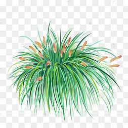 绿色草地花草草丛狗尾巴草植物草地小草下载 png下载psd免抠树林装饰