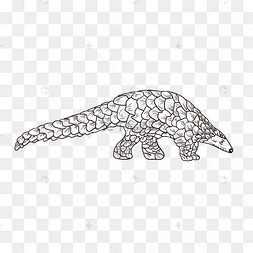 线描野生动物穿山甲
