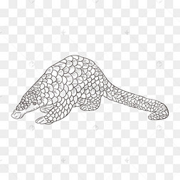 线描保护动物穿山甲