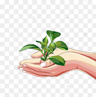 312植树节手捧幼苗