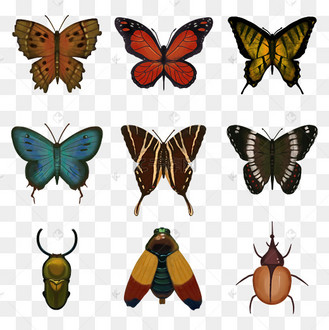 复古昆虫图片_复古昆虫设计图片素材大全-千库网