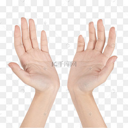 双手手部托举手势