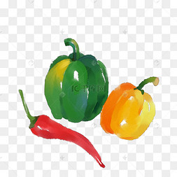手绘彩椒