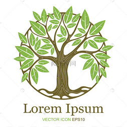 有机图图片-有机图图片素材免费下载-千库网