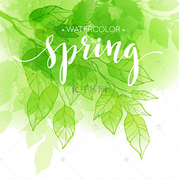 男孩手绘图两片绿色叶子手绘图矢量罂粟花手绘图回收的插图绿色水彩树