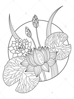 莲花着色书矢量图