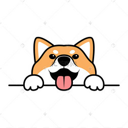 cute shiba inu dog paws up over wall, dog fac