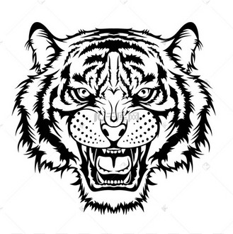 虎头矢量插图,用作印刷品,海报,贴纸,标志,纹身,标志等.