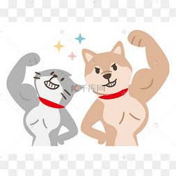 白色背景上一只快乐而强壮的狗的