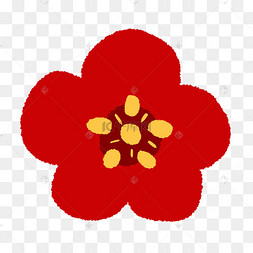 小红花红色小花花卉可爱小花花