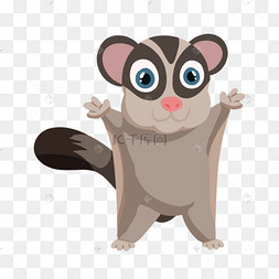 蜜袋鼯鼯鼠站立欢乐宠物