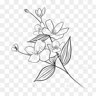 花枝茉莉花装饰线条画
