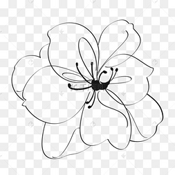 斑马抽象画图片-斑马抽象画图片素材免费下载-千库网