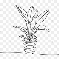 艺术线条画盆栽植物
