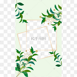 植物ins淡绿色正方形边框